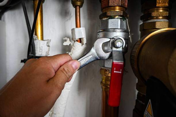 Best Clogged Drain Plumber  in Zumbrota, MN